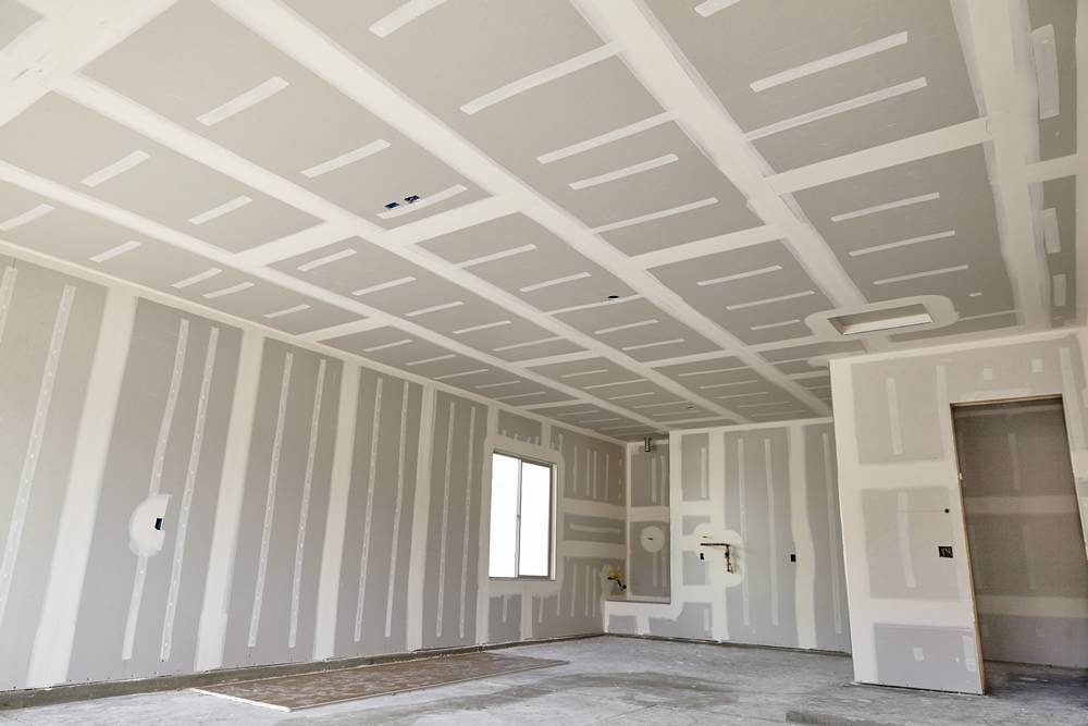 Rénovation : Rénovation intérieure, cloisons et plafonds